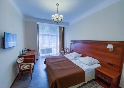 Номер 1 комнатный 2 местный повышенной комфортности в санатории Луч город Кисловодск - фотография